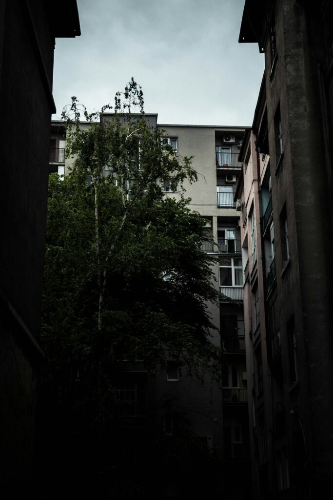 Alívio: A Busca Essencial pela Calma e Bem-Estar na Vida Moderna