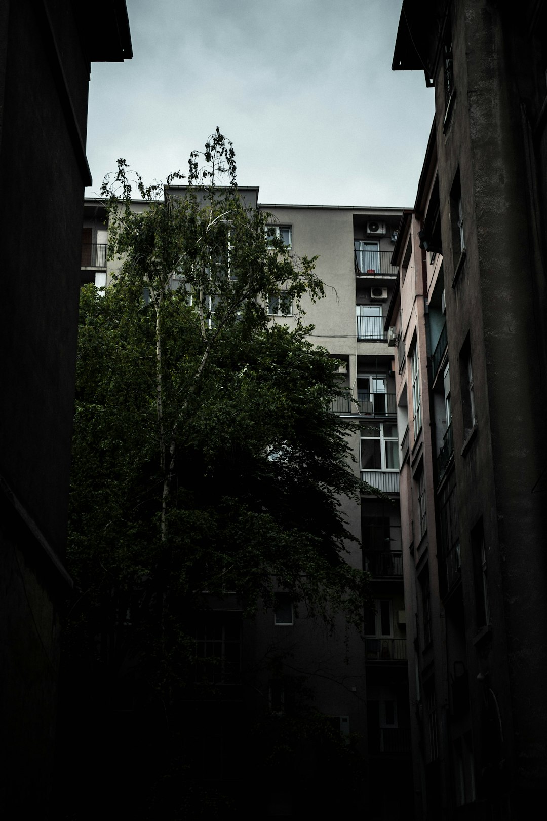 Alívio: A Busca Essencial pela Calma e Bem-Estar na Vida Moderna