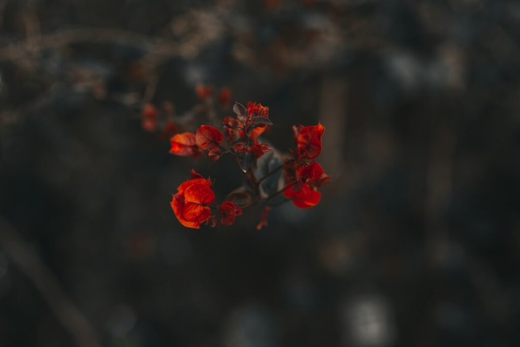 Desconecte para Reconectar: Superando a Ansiedade Digital na Era Conectada