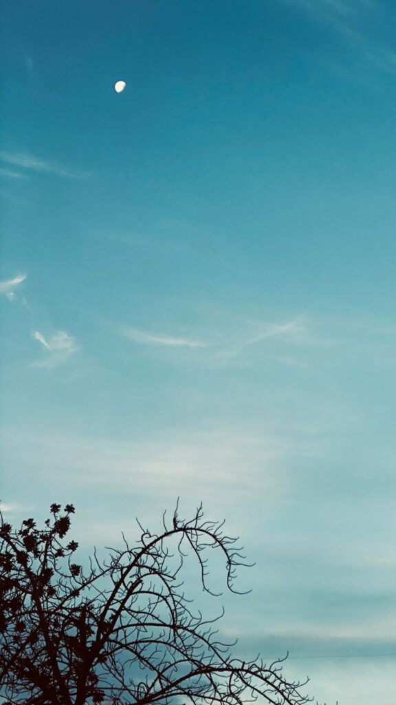 Burnout: Resgate Sua Vida e Bem-Estar com a Terapia Certa