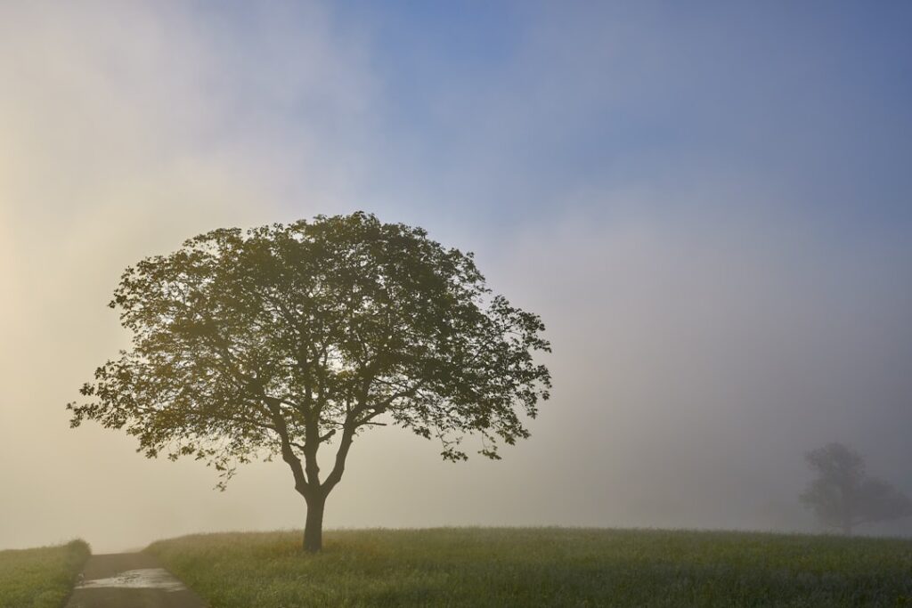 O Grito Silencioso da Alma: Desvendando o Esgotamento e Reconquistando Sua Energia Vital