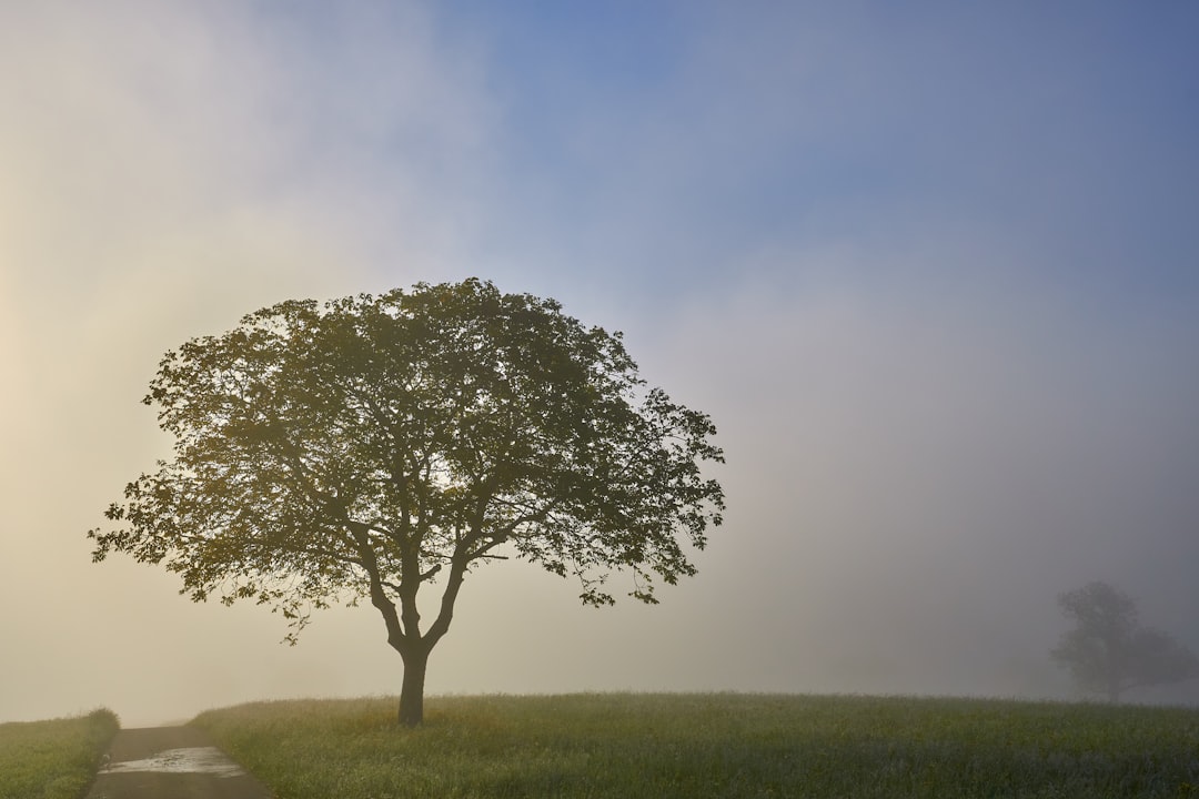 O Grito Silencioso da Alma: Desvendando o Esgotamento e Reconquistando Sua Energia Vital