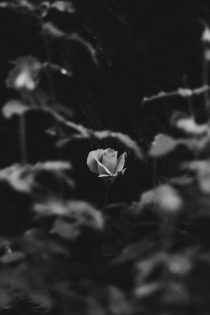 Burnout: A Exaustão Silenciosa que Rouba Sua Essência e Como Superá-la