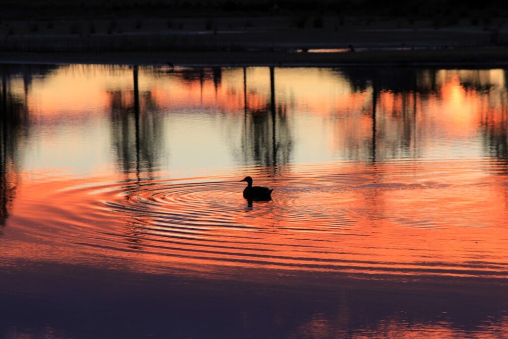 Mindfulness Digital: Conecte-se com o Essencial, Desconecte do Ruído