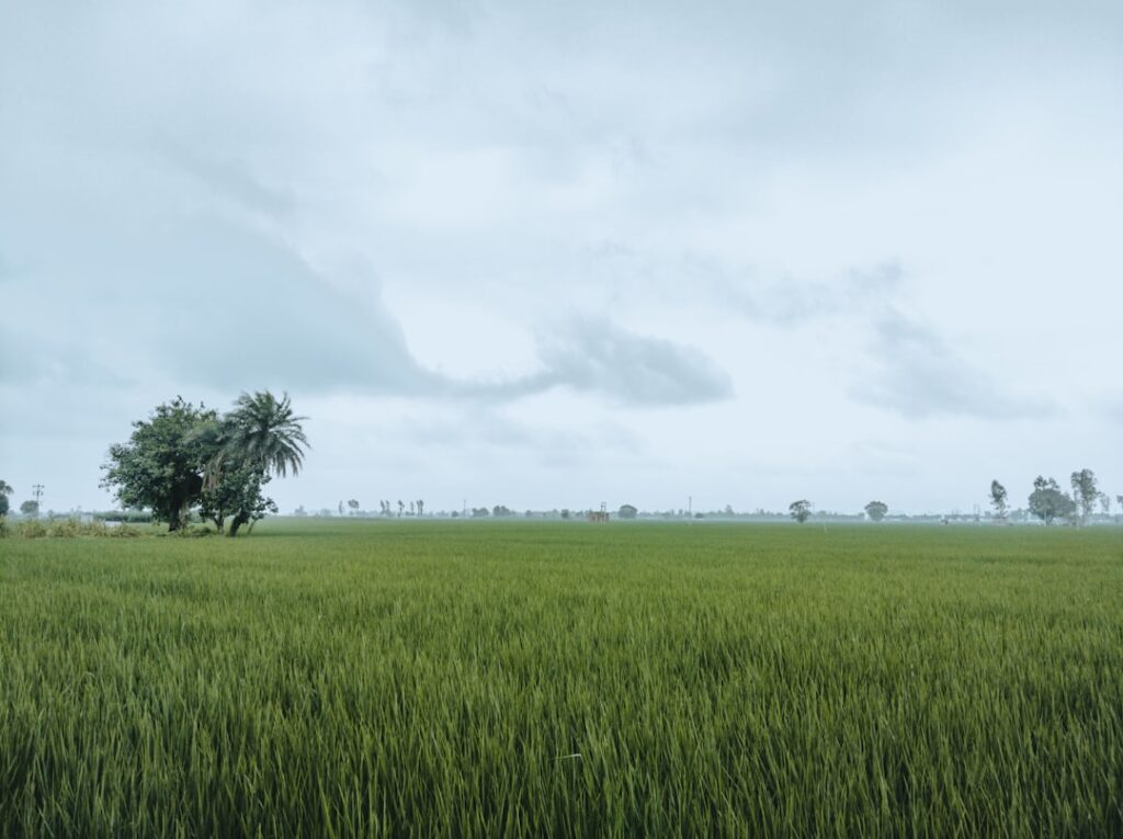 Ansiedade Silenciosa: O Inimigo Invisível da Mente Moderna