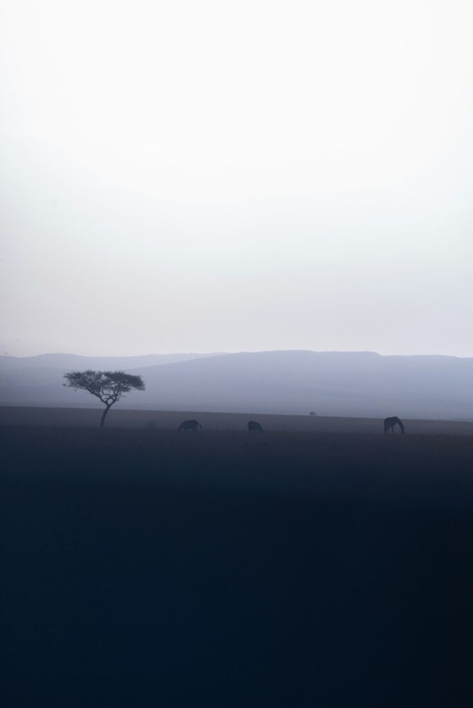 Crise de Ansiedade: Desvendando o Medo e Encontrando a Calma Interior