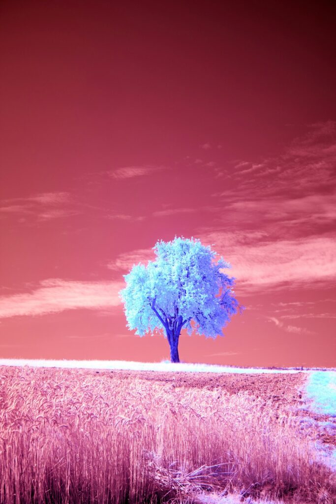 Sobrecarga: Desvendando o Impacto e Como Superar o Excesso