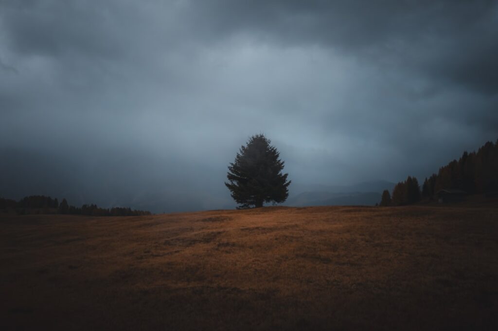 Esgotamento: Desvendando o Burnout e Reconquistando Sua Energia Vital