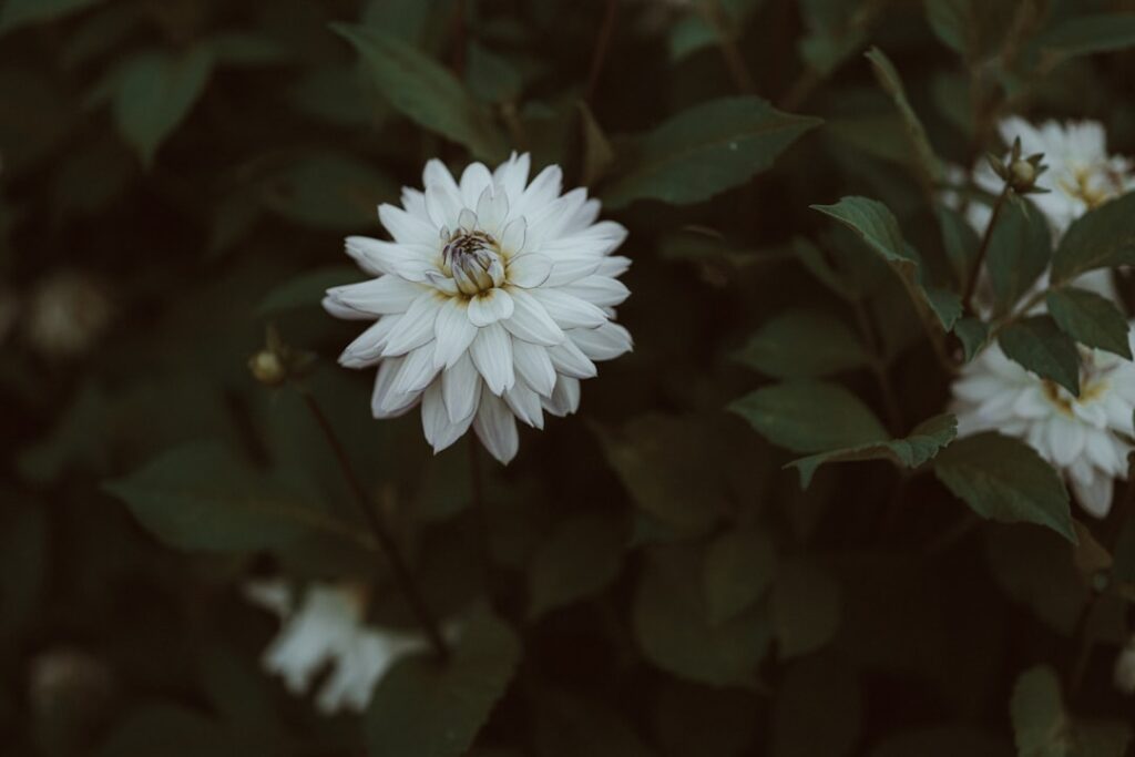 Inteligência Emocional: Desvende o Poder das Suas Emoções